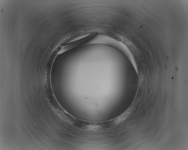 X0000082700158200702091731