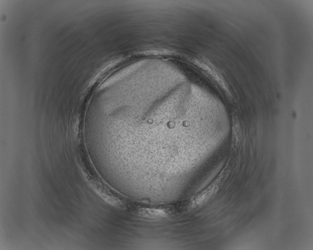 X0000082700159200702091731