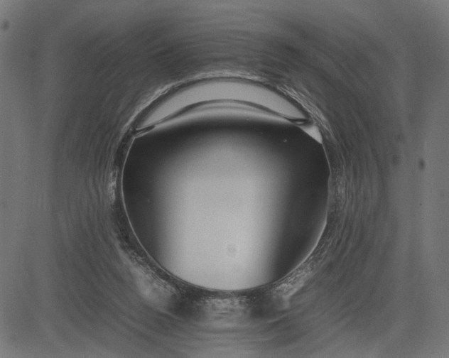 X0000082700160200702091731