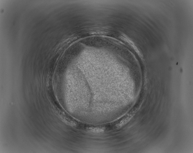 X0000082700161200702091731