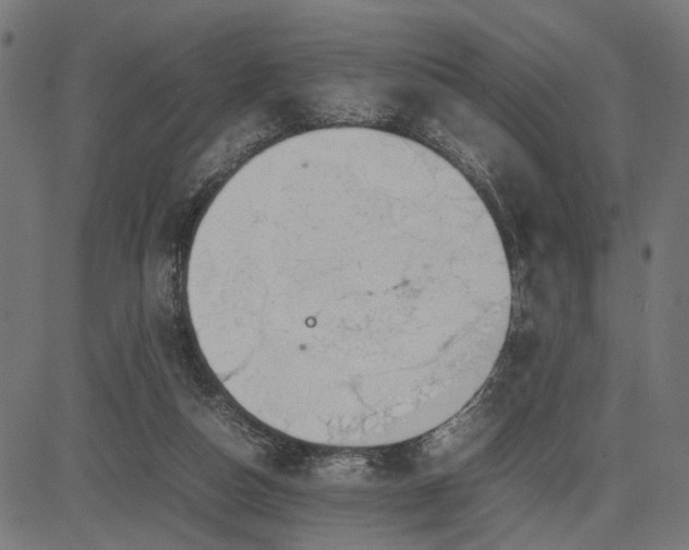 X0000082700162200702091731