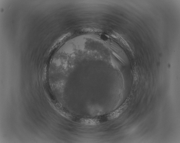 X0000082700163200702091731