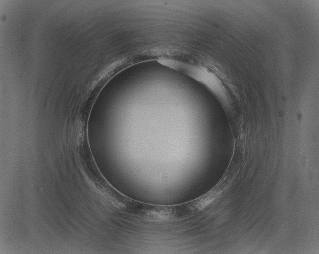 X0000082700164200702091731