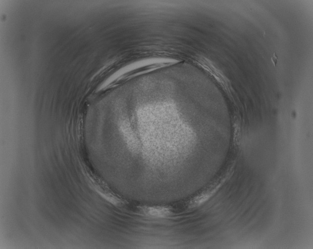 X0000082700165200702091731