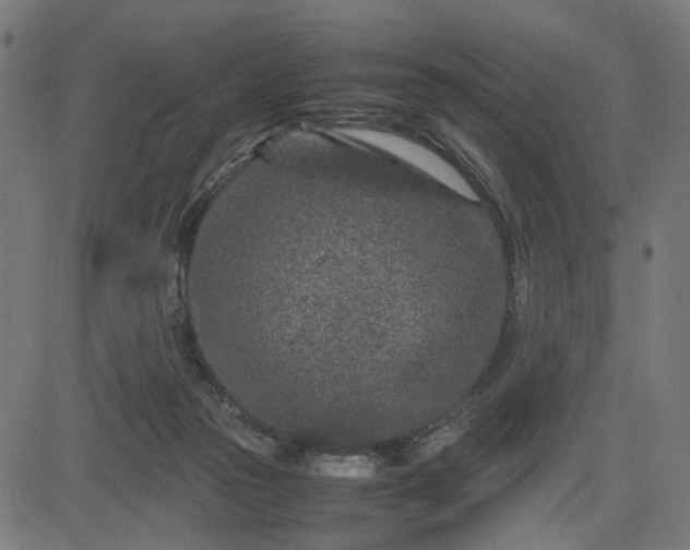 X0000082700169200702091731