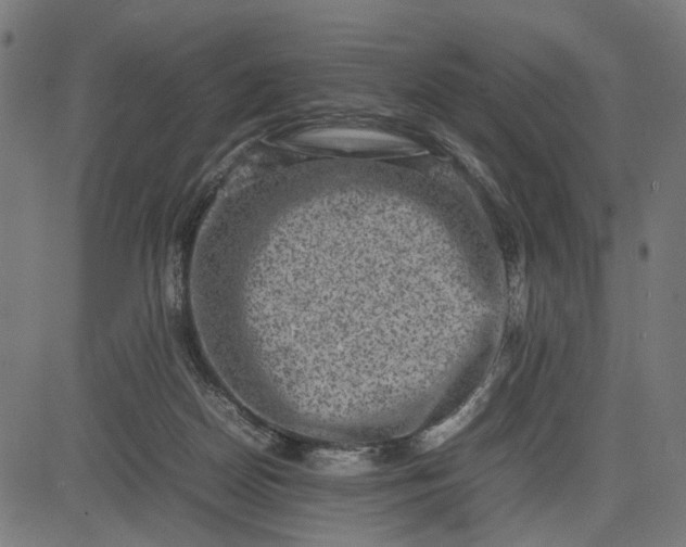 X0000082700170200702091731