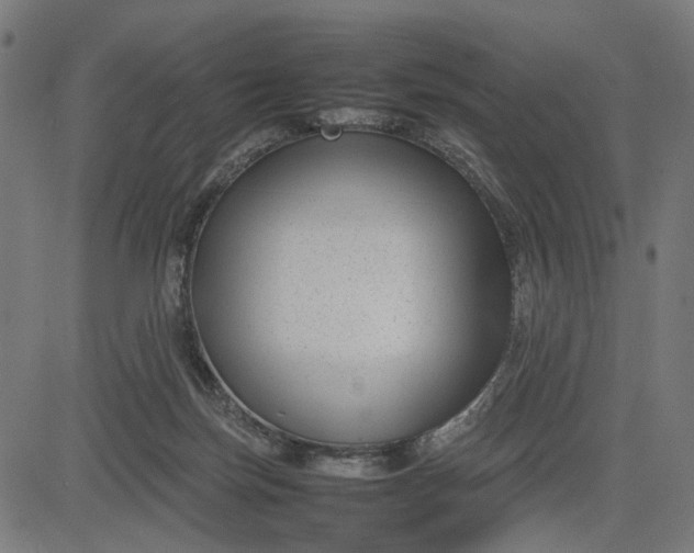 X0000082700171200702091731