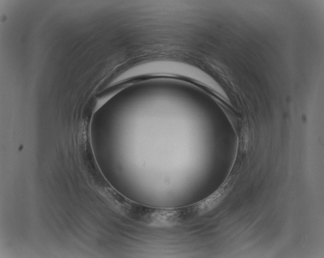 X0000082700172200702091731