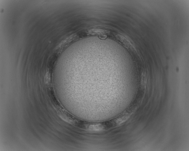 X0000082700173200702091731