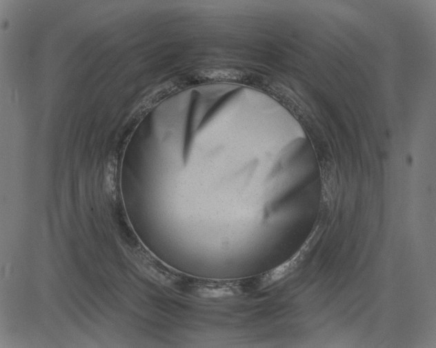 X0000082700175200702091731