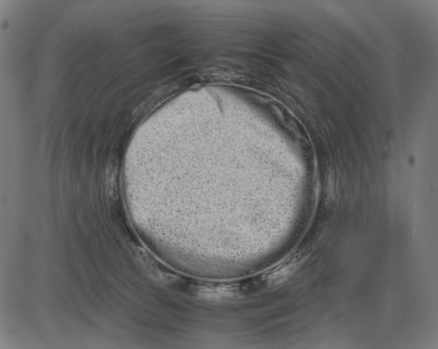 X0000082700177200702091731