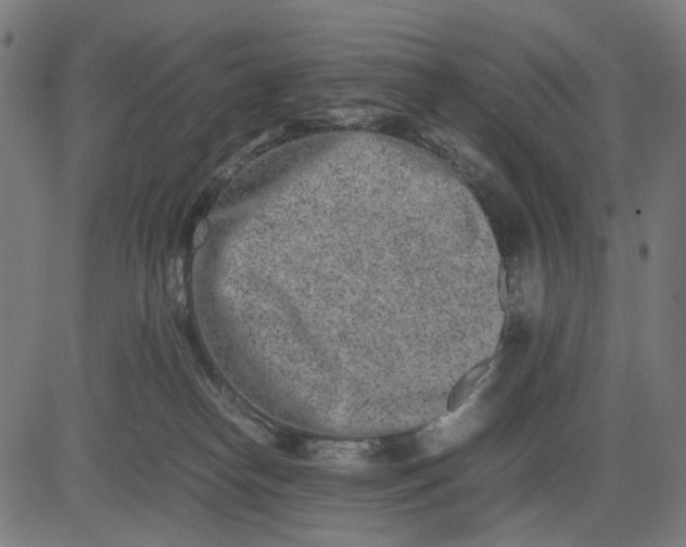 X0000082700182200702091732