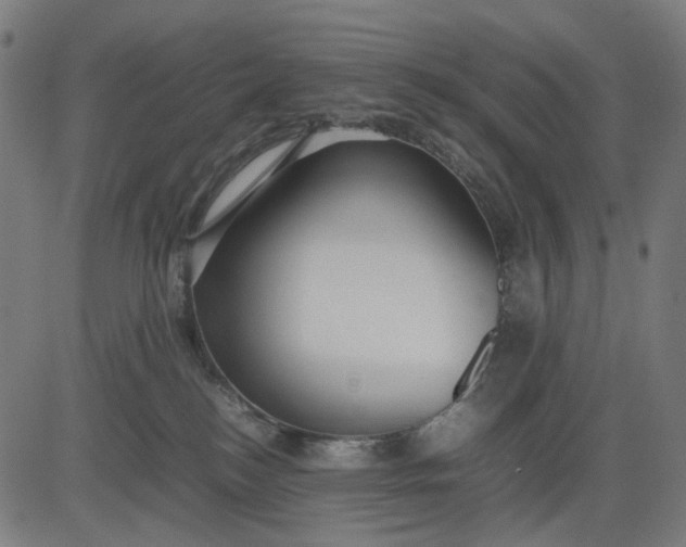 X0000082700184200702091732