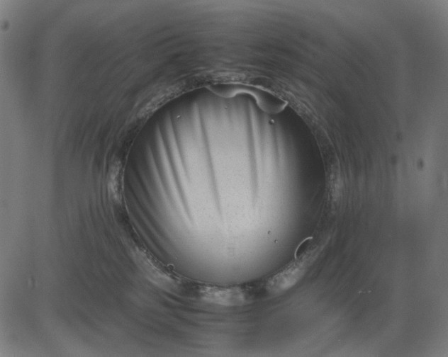 X0000082700185200702091732