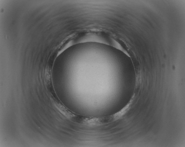 X0000082700186200702091732