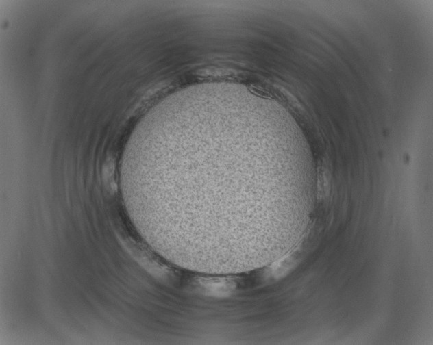 X0000082700187200702091732