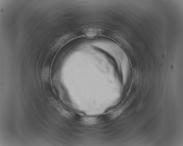 X0000082700189200702091732