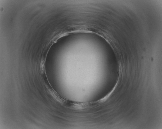 X0000082700190200702091732