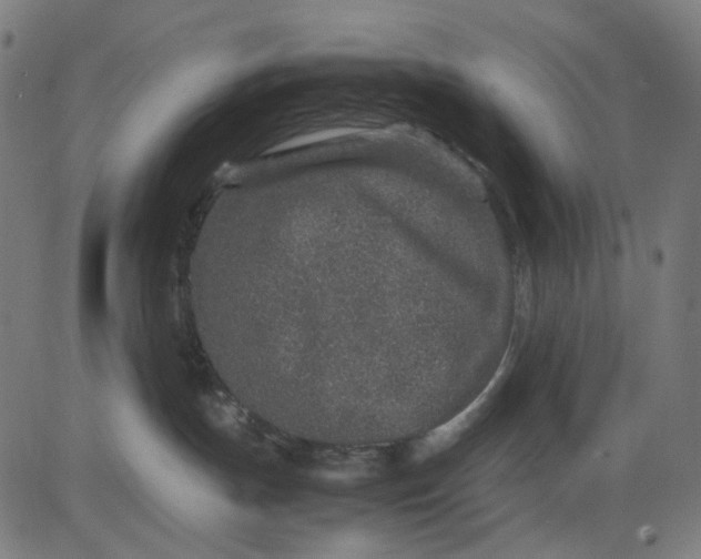 X0000082700191200702091732