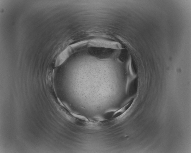 X0000082700192200702091732