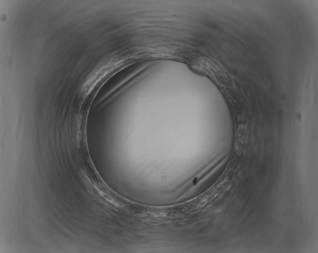 X0000082700194200702091731