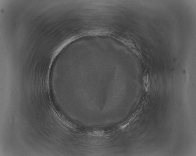 X0000082700196200702091731