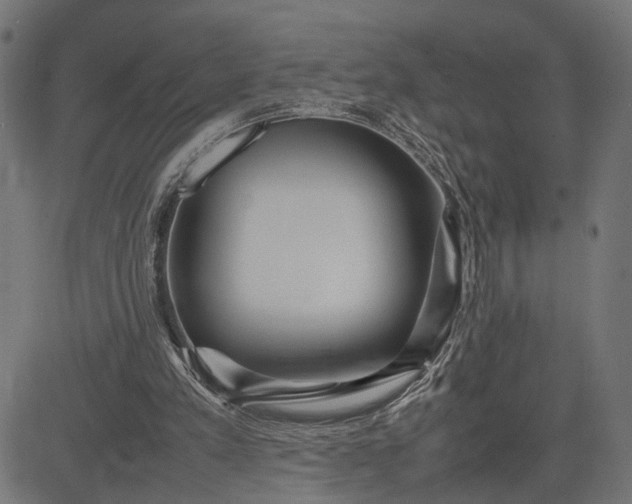 X0000082700197200702091731