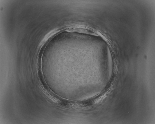 X0000082700199200702091731