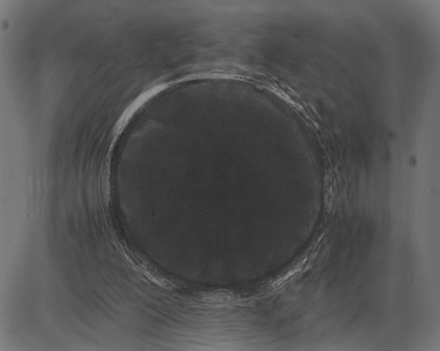 X0000082700200200702091731