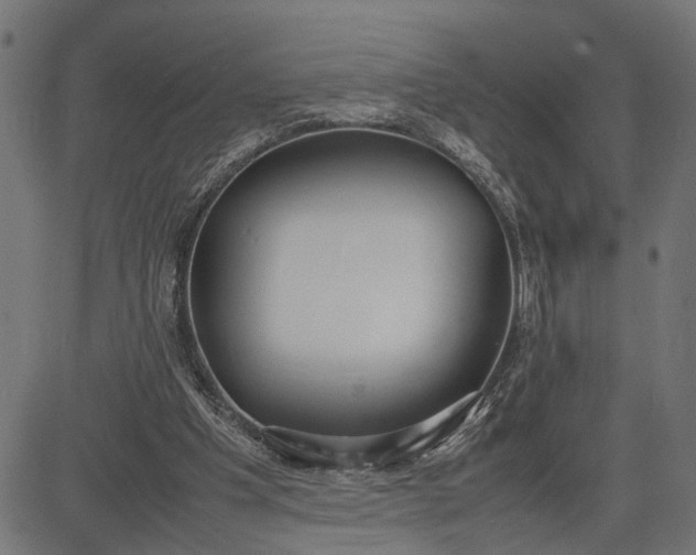 X0000082700201200702091731