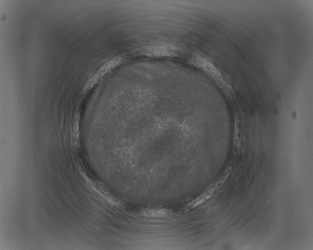 X0000082700202200702091731