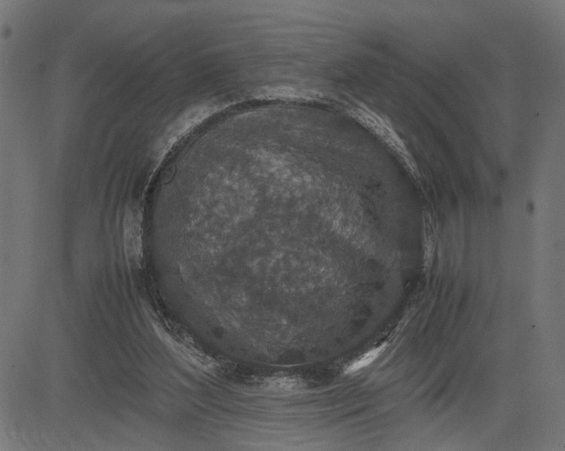 X0000082700204200702091731