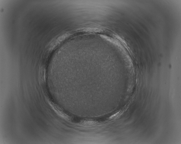 X0000082700205200702091731