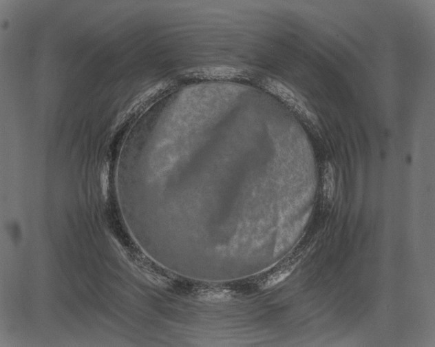 X0000082700206200702091731