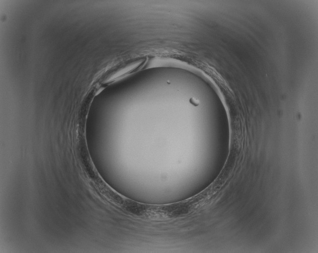 X0000082700207200702091731