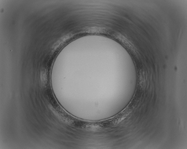 X0000082700208200702091731