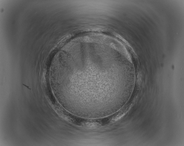 X0000082700209200702091731