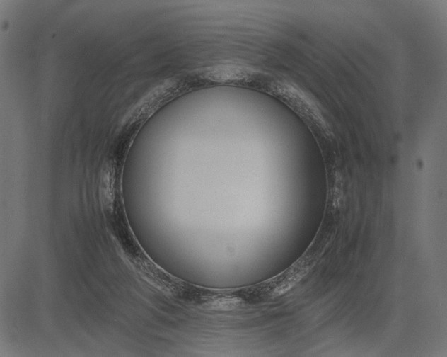 X0000082700210200702091731