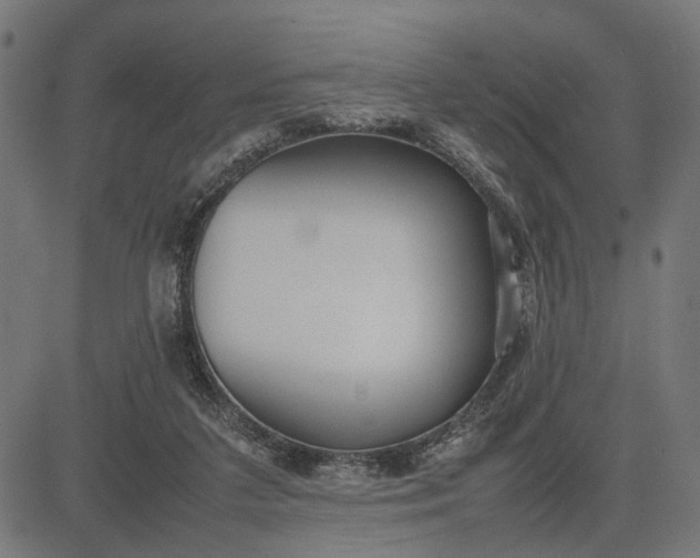 X0000082700211200702091731