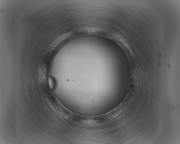 X0000082700212200702091731