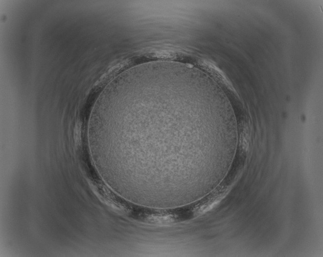 X0000082700213200702091731