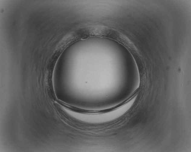 X0000082700217200702091730