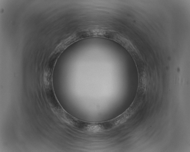 X0000082700218200702091730