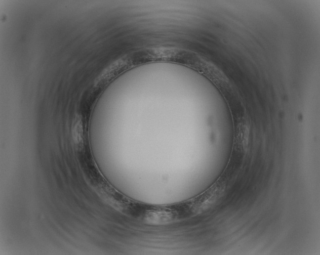 X0000082700220200702091730