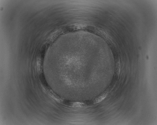 X0000082700222200702091730