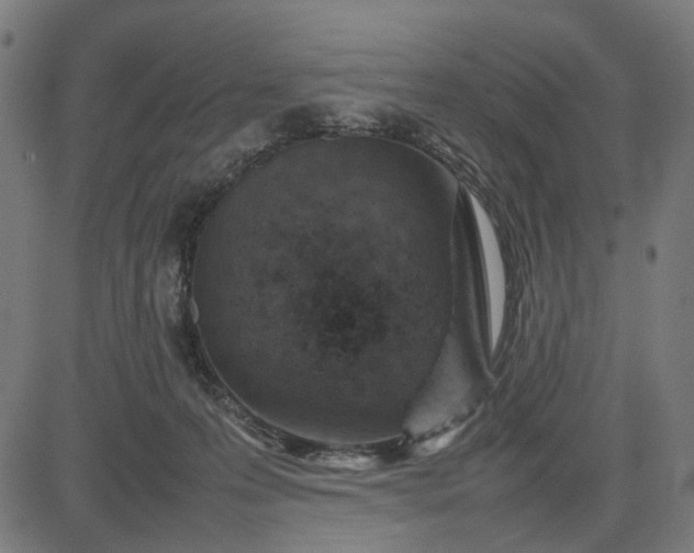 X0000082700223200702091730