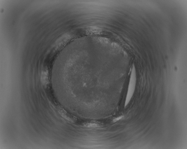 X0000082700224200702091730