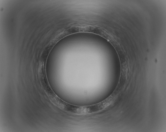 X0000082700225200702091730