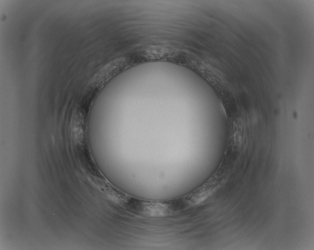 X0000082700226200702091730