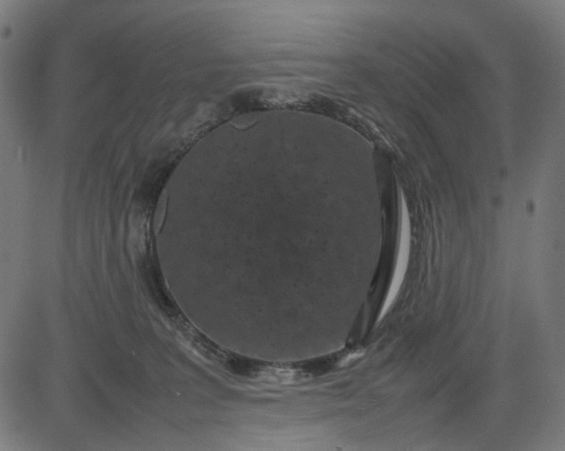 X0000082700227200702091730